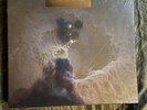 Fear Inoculum by Tool (Vinyl, 2022)