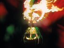 Arthur Brown - Long Long Road Vinyl