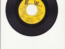 Theresa Lindsey- I'll Bet You/Daddy-O- Original 1965 Girl Northern Soul 45