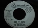 z23 DYNAMIC 104 D.J COPY THE COMMANDS NO TIME FOR YOU HEY ITS LOVE THE DELL TONE