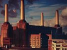 Pink Floyd Animals (Vinyl LP) 12