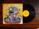 CATFISH HODGE    LIVE CATFISH   BOB HODGE   BLUES LP