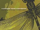 Coheed and Cambria Second Stage Turbine Blade (Vinyl)
