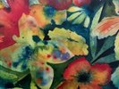 LP SONGS AND INSTRUMENTALS - LENKER, ADRIANNE (#191400030213)