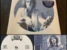 CHRIS BELL I Am The Cosmos 7” Vinyl SEALED Record Store Day RSD-Big Star Jynx