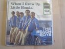 The Beach Boys                 When I Grow Up