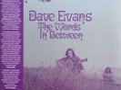 Dave Evans  ‎– The Words In Between  lp vinyl
