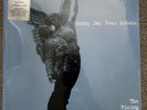 SUNNY DAY REAL ESTATE The Rising Tide 2xLP CLEAR Color Vinyl /2500  NEW RSD 2017