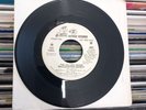 The Kinks Village Green Preservation Society 7 Inch Promo Reprise