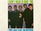 The Rockin' Berries - I Didn't Mean To Hurt You (7