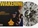 LORD FINESSE THE AWAKENING VINYL ME PLEASE EXCLUSIVE SPLATTER VINYL PRESSING