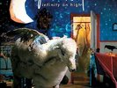 Infinity On High [VINYL], Fall Out Boy, New