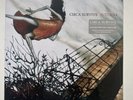 Circa Survive Juturna 10 year anniversary white vinyl **Sealed & Unopened**