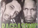 Raggasonic Raggasonic - LP 33T x 2