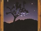 THE KILLERS DON'T WASTE YOUR WISHES [2 LP] [45 RPM] NEW LP