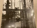Paul McCartney - Chaos And Creation In The Backyard (UK 1st Press 2005) NM/M-