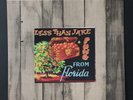 Less Than Jake Pung From Florida RARE 7
