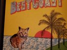 Best Coast Crazy for You Seafoam Green 1st Press Vinyl Numbered Fidlar