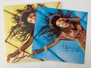 Idina Menzel Signed Autograph Drama Queen Pink Vinyl LP | Wicked, Music Artist