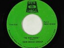 70s Soul Funk 45 - New Image Group - In The Park - New Image - rare