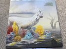 RIVAL SONS HOLLOW BONES LTD ED GOLD VINYL LP RECORD Signed inner Rare