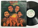 WAILING SOULS - WAILING [ JAH GUIDANCE ] LP  / 12