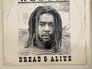Peter Tosh - Wanted Dread or Alive ORG '81 EMI AMERICA LP SO-17055 VG+ VINYL