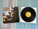 Count Five - Psychotic Reaction Vinyl LP (1966 Mono Us Original)