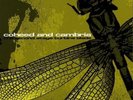 Coheed and Cambria - The Second Stage Turbine Blade vinyl limited US release