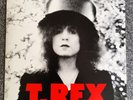 T.REX THE SLIDER BLN 5001 1st PRESSING RED LINER LYRIC INNER SLEEVE.