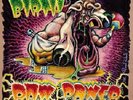 Raw Power - Birth LP - Vinyl Album RARE Classic Hardcore Punk Record
