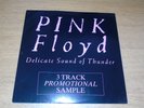 PINK FLOYD - Delicate Sound Of Thunder Sampler - 1989 UK 3-track promo 12