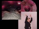 Hayley Williams FLOWERS for VASES / descansos Pink Smoke Colored Vinyl LP