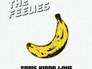 The Feelies - Some Kinda Love: Performing The Music Of The Velvet Underground