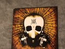 Mutation : The Frankenstein Effect Error 500 LP Wildhearts Ginger Like New