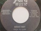 45 ROOTS / HORACE ANDY / ROCK TO SLEEP / YARD MUSIC / LISTEN