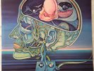 Clearlight Clear Light Symphony NEAR MINT Virgin Vinyl LP