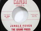 the GRAND PREES 45 Sit and Cry / Jungle Fever CANDI doowop MINT-  #2954
