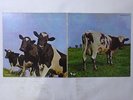 Pink Floyd Atom Heart Mother Harvest EMS-80320 Japan  VINYL LP