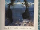 Sandra Into A Secret Land NEAR MINT Virgin Vinyl LP
