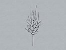 Low Ones and Sixes (Vinyl LP) 12