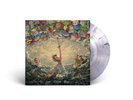 the maybe man (limited smoke vinyl) - ajr