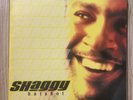 Shaggy - Hot Shot Vinyl LP - US 2000 Press. Ex