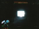 EMERALDS DOES IT LOOK LIKE I'M HERE? (Vinyl) 12