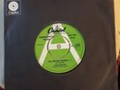 linda ronstadt The Dolphins/Long Way Round. DEMO