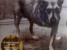 Alice In Chains Self Titled Tripod Album. New & Sealed Vinyl LP On Green Wax