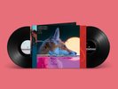 Everything Everything -Man Alive:Limited Gatefold Vinyl 2LP+ Signed Print