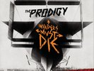 The Prodigy Invaders Must Die (Vinyl LP) 12