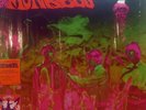 The Monkees – Summer Of Love  pink / green Vinyl LP29