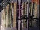 Logic System Logic  2x12, Album, Ltd, Sin EMI - 1A K162Z-83236 Italy 1992 VG+...